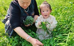 悲惨世界2012百度影音